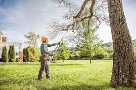 Best Stump Grinding and Removal  in South Waverly, PA