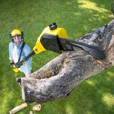 Soil Testing and Treatment in South Waverly, PA